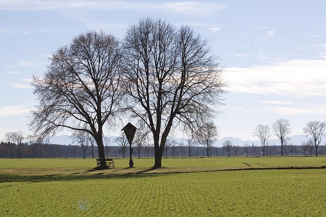 Wegkreuz
