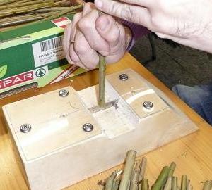 Palmbuschen