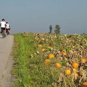 Radwallfahrt  2016