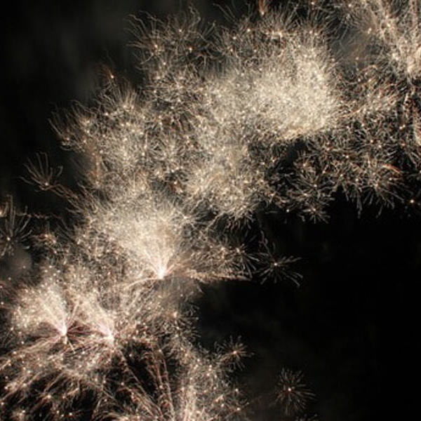 Feuerwerk / Pixabay Feuerwerk