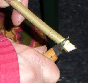 Palmbuschen