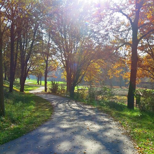 Naturpark Alter Rhein