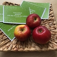 Karten mit Tipps für körperliche und seelische Gesundheit und ein Apfel: Mit dieser Stärkung versorgt das Team der Citypastoral Linz am 14. Mai 2021 ab 14.00 Uhr die PassantInnen vor der Ursulinenkirche. / © Citypastoral Karten mit Tipps für körperliche und seelische Gesundheit und ein Apfel: Mit dieser Stärkung versorgt das Team der Citypastoral Linz am 14. Mai 2021 ab 14.00 Uhr die PassantInnen vor der Ursulinenkirche.