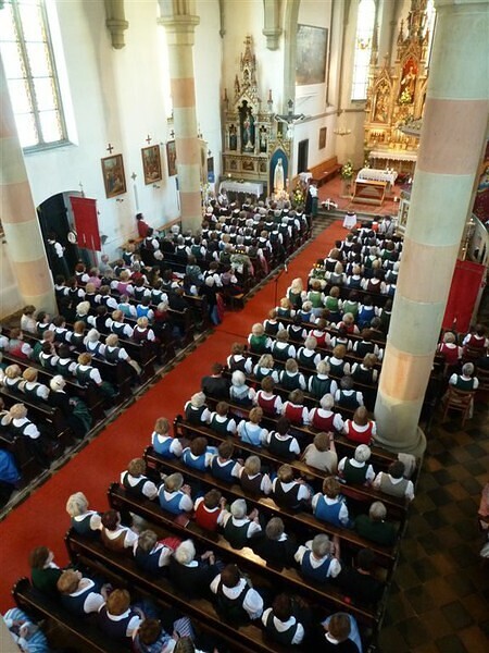 Bezirksgoldhaubentreffen 2013 