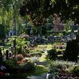 St.-Barbara-Friedhof Linz / © Nik Fleischmann St.-Barbara-Friedhof Linz