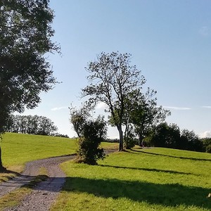 hdr