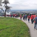 Basilika Pöstlingberg-Koglerauspitz-Ottensheim-Donaufähre-Stiftskirche Wilhering. Hier mit Blick auf die Donau und Ottensheim